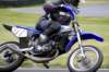 img_6390_small.jpg