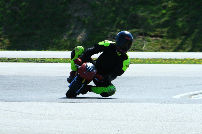 img_0650.jpg