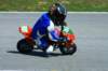 img_0817_small.jpg