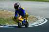 img_1131_small.jpg
