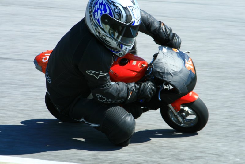 img_1167.jpg
