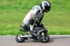 img_5914_small.jpg