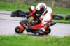img_6263_small.jpg