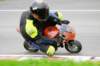 img_6287_small.jpg