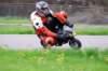 img_6294_small.jpg