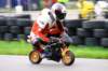 img_6363_small.jpg