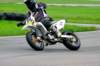 img_6490_small.jpg