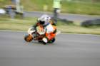 img_1484_small.jpg