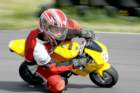 img_2014_small.jpg