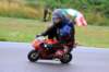 img_8323_small.jpg