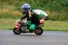 img_8331_small.jpg