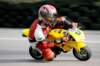 img_4632_small.jpg