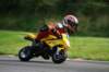 img_5367_small.jpg