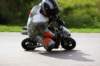 img_5512_small.jpg
