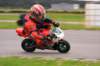 img_0062_small.jpg