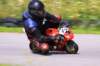 img_0449_small.jpg