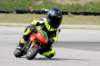 img_5303_small.jpg