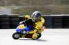 img_5344_small.jpg