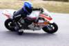 img_4589_small.jpg