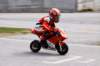 img_4950_small.jpg