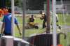 bild262_small.jpg