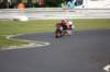 bild279_small.jpg