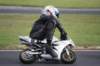 bild333_small.jpg