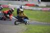 bild441_small.jpg