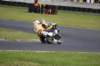 bild484_small.jpg