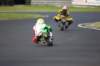 bild651_small.jpg