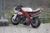bild667_small.jpg