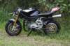 bild692_small.jpg