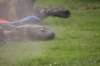 bild948_small.jpg