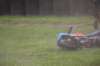bild952_small.jpg