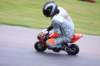 img_4340_small.jpg
