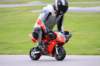img_4442_small.jpg