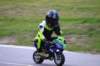 img_4555_small.jpg