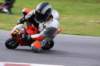 img_4985_small.jpg