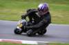 img_4986_small.jpg