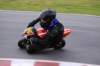 img_5000_small.jpg