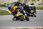 img_3090_small.jpg