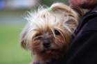 img_3636_small.jpg